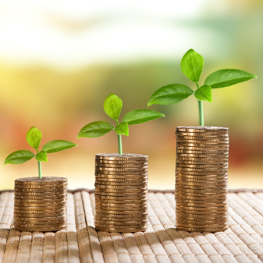 Interest-Bearing Current Account