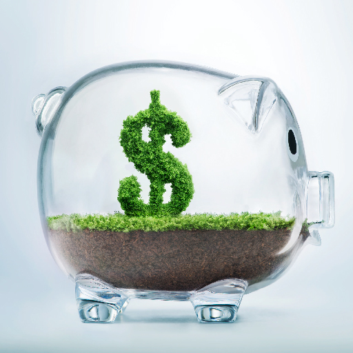 Standard Savings Account