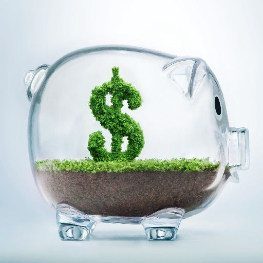 Standard Savings Account